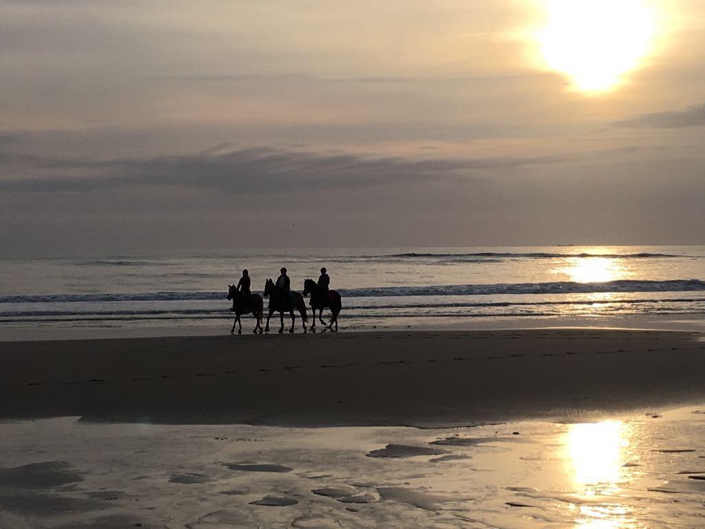 Sylter Ferienwohnungen Westerland Bagian luar foto